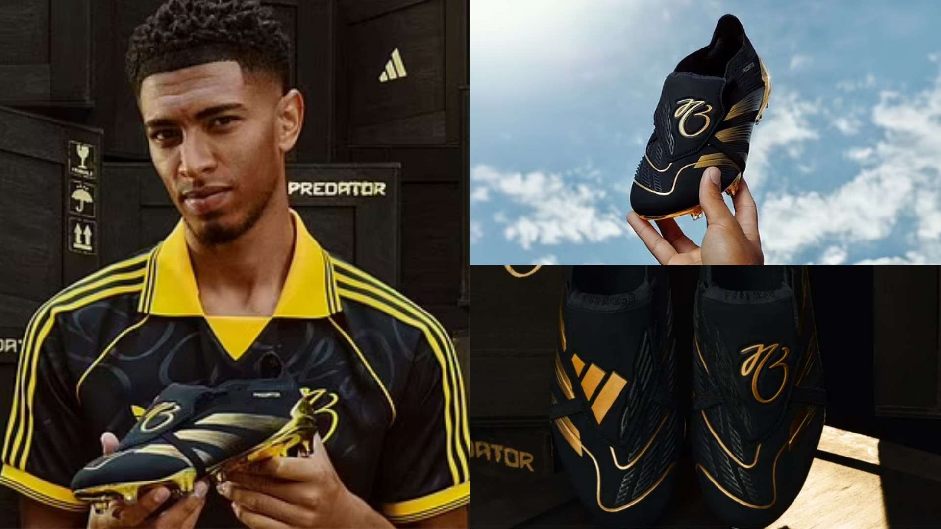 库利巴利在 库利巴利在